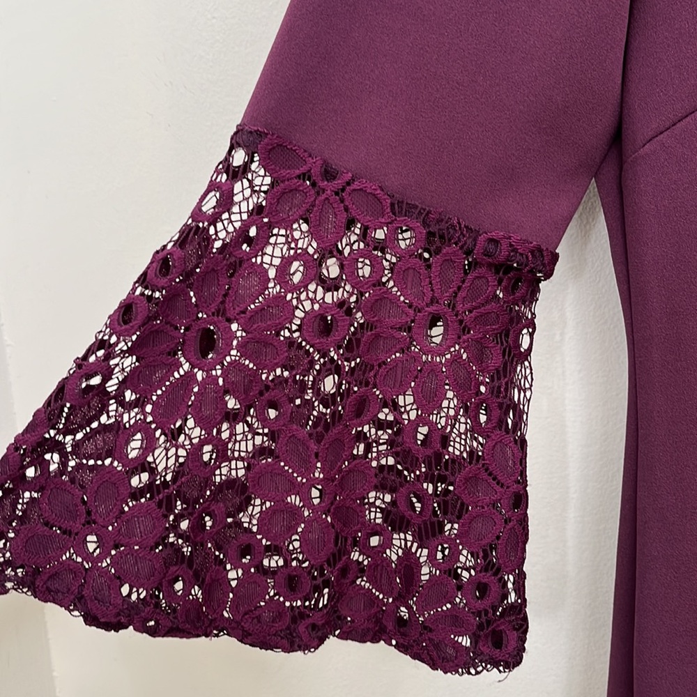 Gorgeous Plum Color Mid Length/knee Dress. Size 8 - Picture 3 of 6